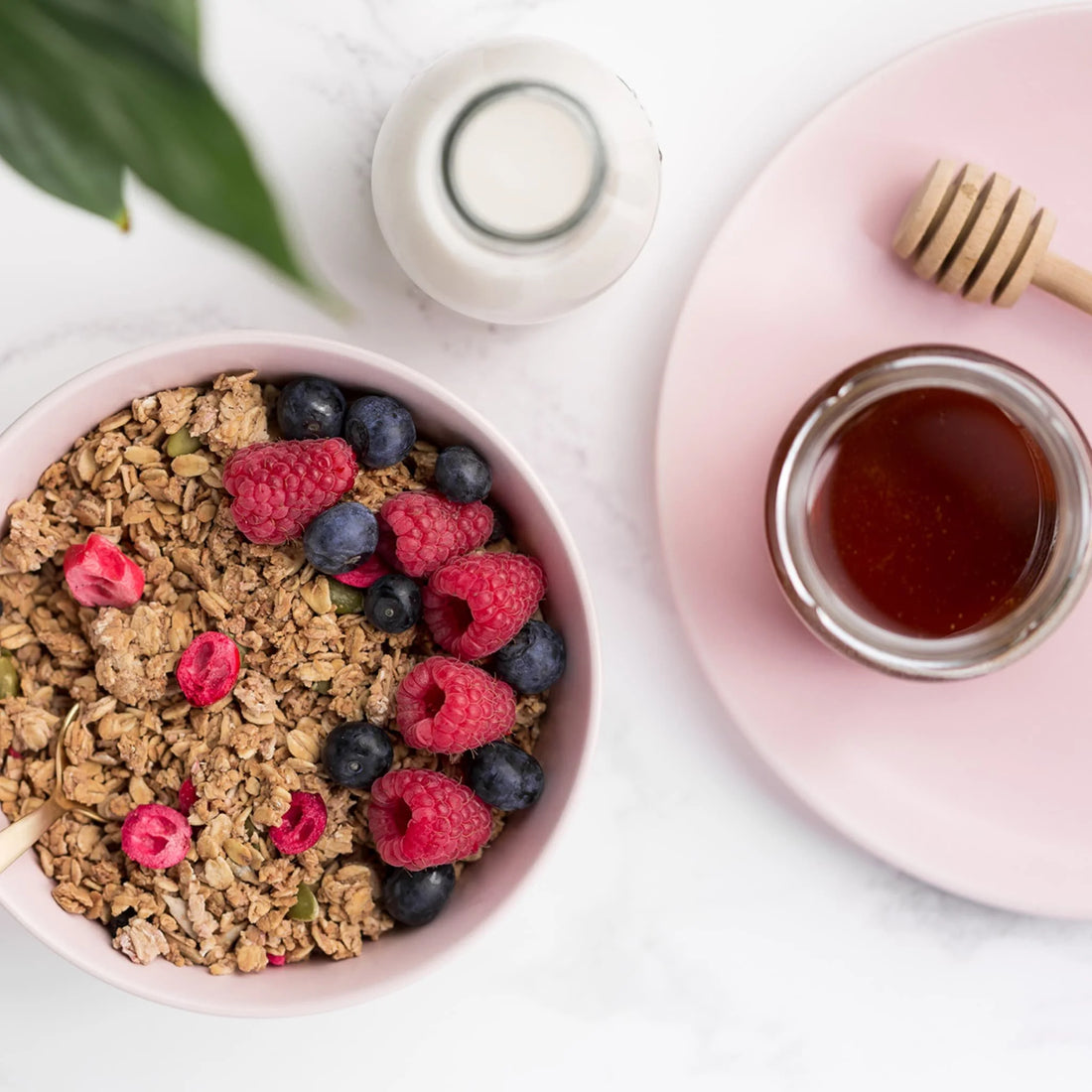 Removing Gut Health Offenders: A Practical Approach